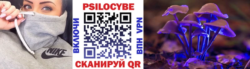 Псилоцибиновые грибы прущие грибы  купить  цена  Новый Уренгой 
