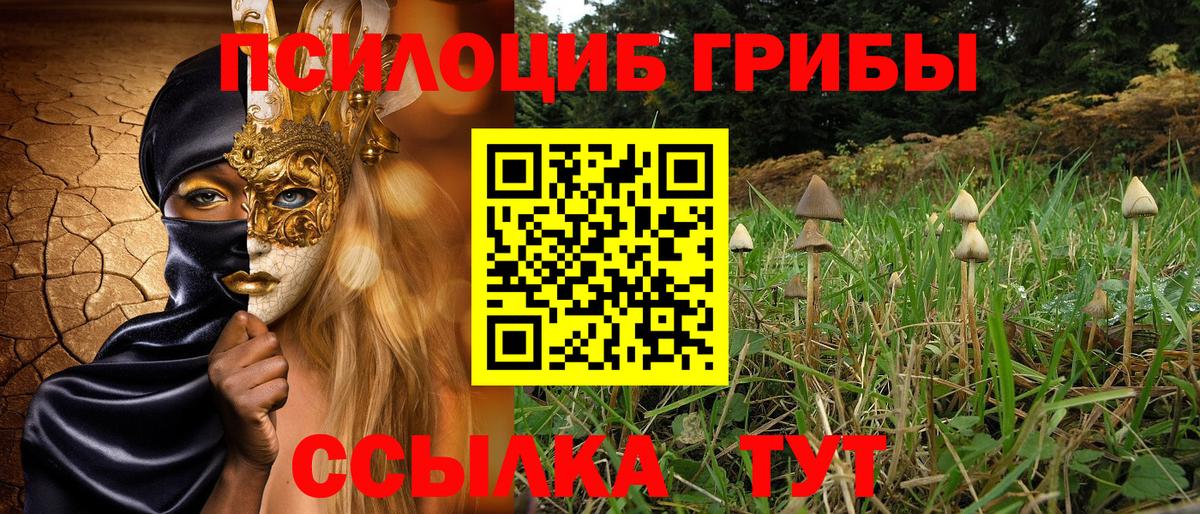 Псилоцибиновые грибы мицелий  Вход с VPN  Галлюциногенные грибы Cubensis  Новый Уренгой 
