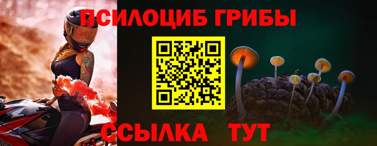 Галлюциногенные грибы ЛСД Новый Уренгой